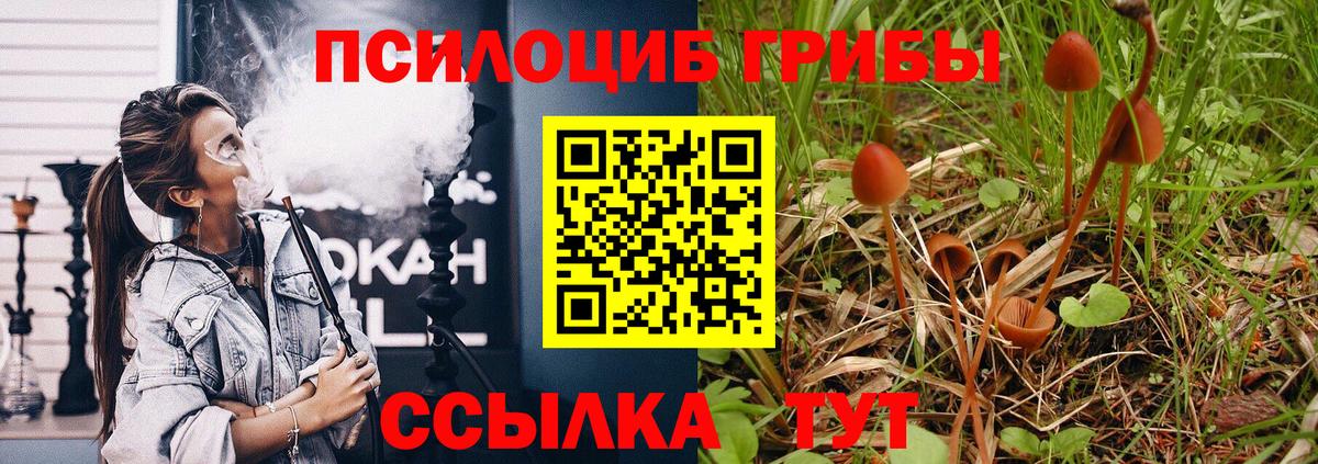 Галлюциногенные грибы MAGIC MUSHROOMS Черкесск
