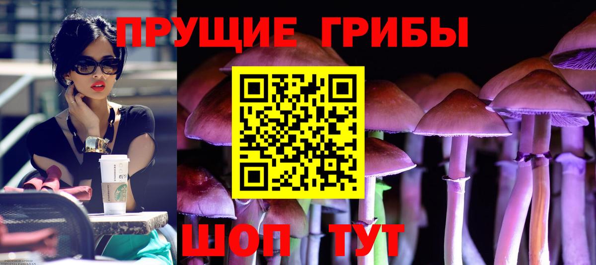 Черкесск  Галлюциногенные грибы прущие грибы  Галлюциногенные грибы MAGIC MUSHROOMS  Вход с VPN 